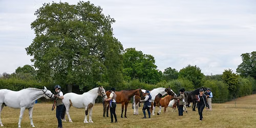 NWSC - Ossie Ward Showing Show