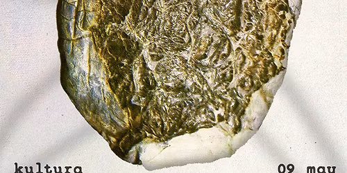 Danight invites Sean H & Donia 