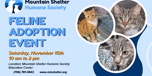 Feline Adoption Event - Mountain Shelter Humane Society Education Center
