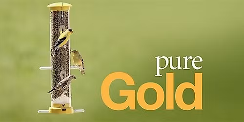 Goldfinches: The Gold Standard