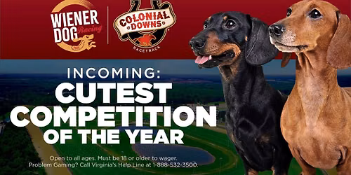 Colonial Downs Horse Racing - Wiener Dog Races at Colonial Downs Racetrack