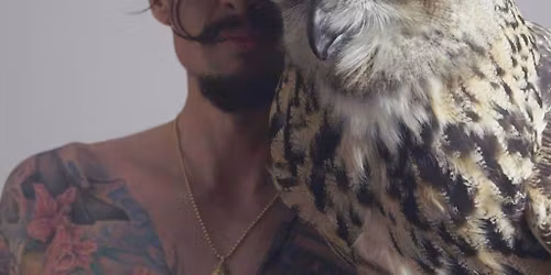 Justin Hawkins Rides Again... Again | Clyde Rooms