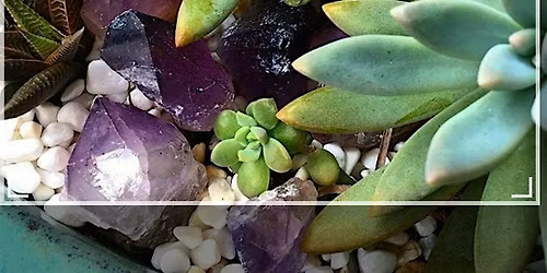Make Your Own Amethyst Zen Garden