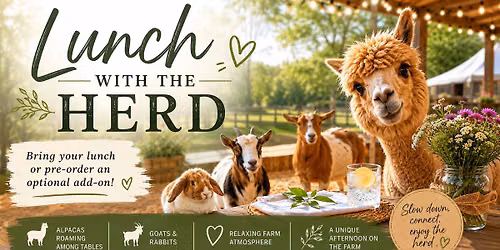 Lunch with the Herd