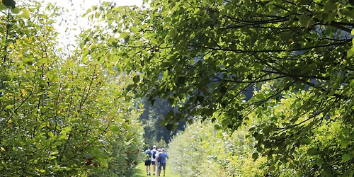 A Dose of Nature: Our National Parks as a Natural Health Service