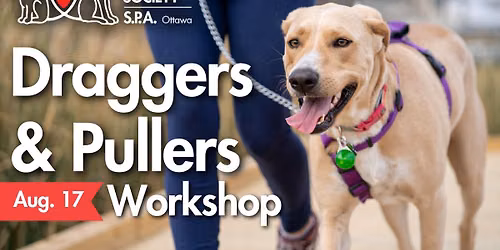 Draggers & Pullers Dog Training Workshop