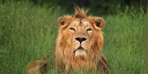 Cotswold Wildlife Park, Burford
