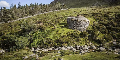 Conservation in Action: Glen River to Drinneevar