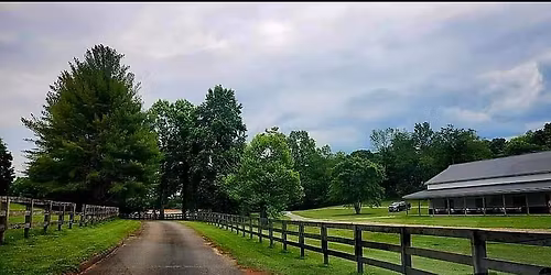 Christmas Market at the Cove