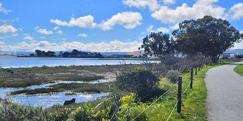 Littlefield\/Colma Creek