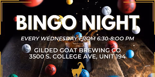 BINGO Night