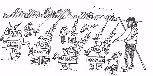 Practice Christmas Bird Count