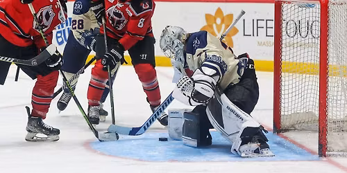 Knoxville Ice Bears vs. Birmingham Bulls