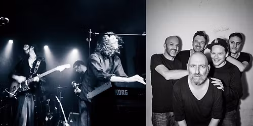 Den Der Hale + Leech