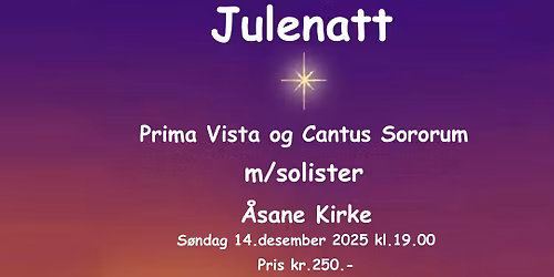 Julenatt - Prima Vista & Cantus Sororum