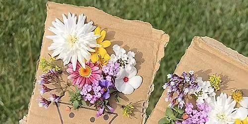 Petal Picking Stroll