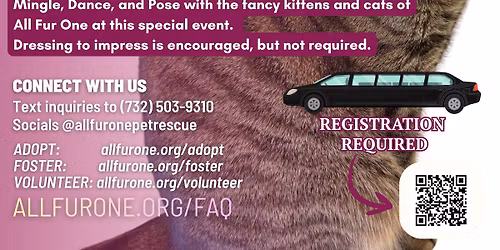Kitten Prom