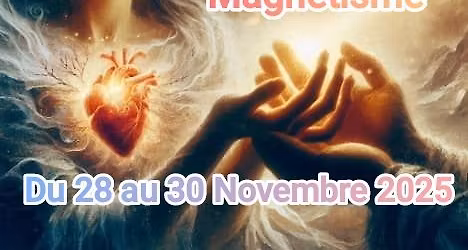 FORMATION MAGN\u00c9TISME 