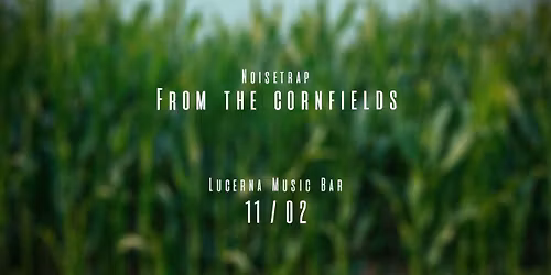 N O I S E T R A P  k\u0159est LP From the Cornfields