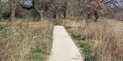 Introduction to Forest Bathing Walk
