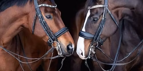 Flurries and Flying Changes Dressage at SNF