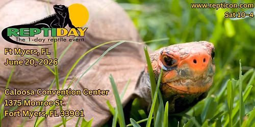 Reptiday Ft Myers