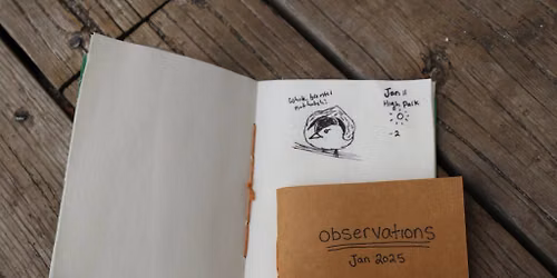  Scribbles & Strolls: Nature Journaling Workshop In High Park