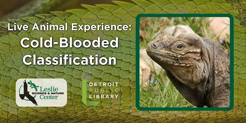 Cold-Blooded Classification: Live Reptiles!