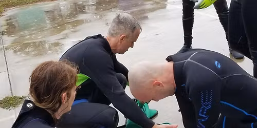 CPR\/AED\/O2 and Rescue Diver Course