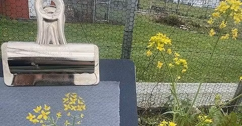 How to work in Plein Air: A Guided Open Studio - Night Class