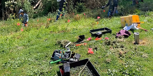 March 14th Community Stewardship day at Abernethy Creek!