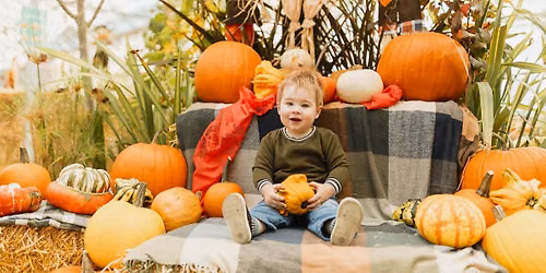 Pumpkin Maze