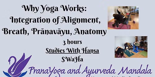 Why Yoga Works: Integration of Alignment, Breath, Pr\u0101nav\u0101yu, Anatomy 
