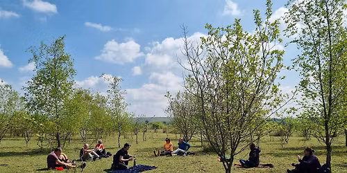 Forest Bathing 'Long Light Reflection Walk' - College Lake, Sunday 14 June