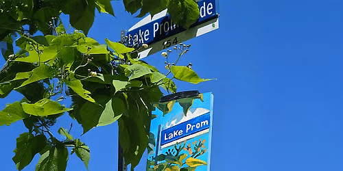 En Plein Air: Painting in Marie Curtis Park