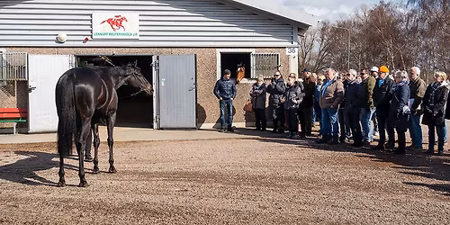 Stallrunda inf\u00f6r s\u00e4songen