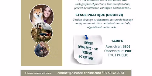 Mon chien, nos \u00c9motions... et Moi !