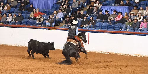 FWSSR Horse Sales \u2013 3 Sales in 1 Day