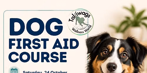 Talliwags Wellness World First Aid Course for Dogs