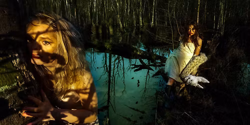 THE SWAMP - en immersiv performance installation om Internettet
