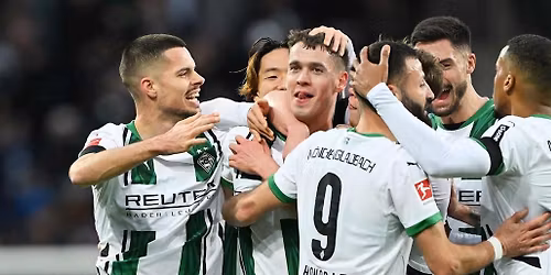 Hamburger SV vs. TSG 1899 Hoffenheim