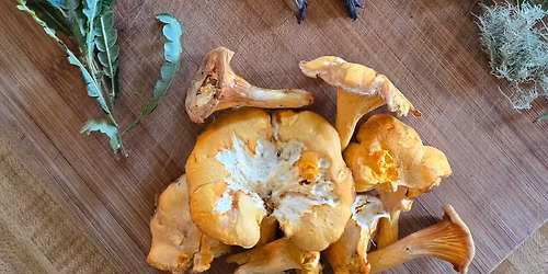 Foraged Flavors: Exploring The Use Of Wild New England Botanicals In Everyday Cuisine