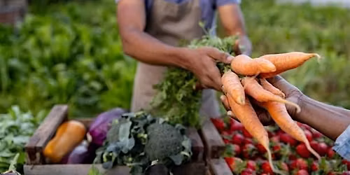Food Smarts with Second Harvest of the Big Bend
