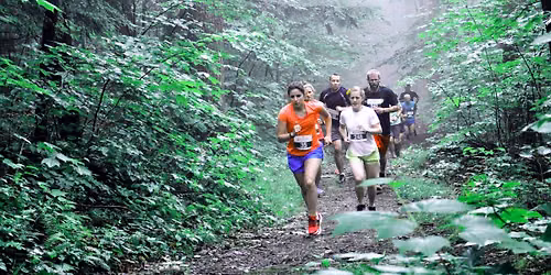 Wild Thing 5K\/10K Race Walk