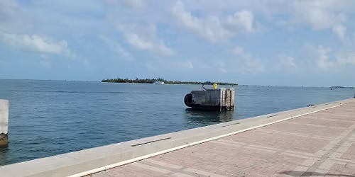 Early Bird Clean Up Mallory Square hosted by Ocean Key Resort & Spa