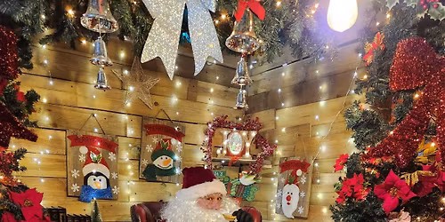 Santa visit \ud83c\udf85 \ud83d\udc3e