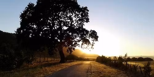 Saturdays with St. Francis