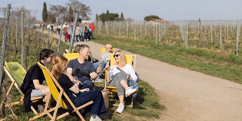 Bad D\u00fcrkheimer WeinWandel 2027