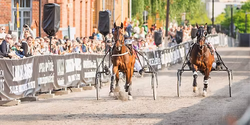 Hevoset Linnoituksessa & Lappeenrannan Cityravit
