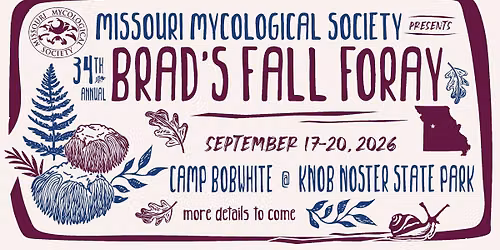 Brad's Fall Foray